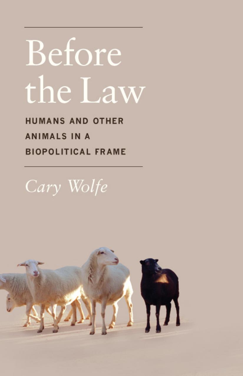 Before the Law: Humans and Other Animals in a Biopolitical Frame