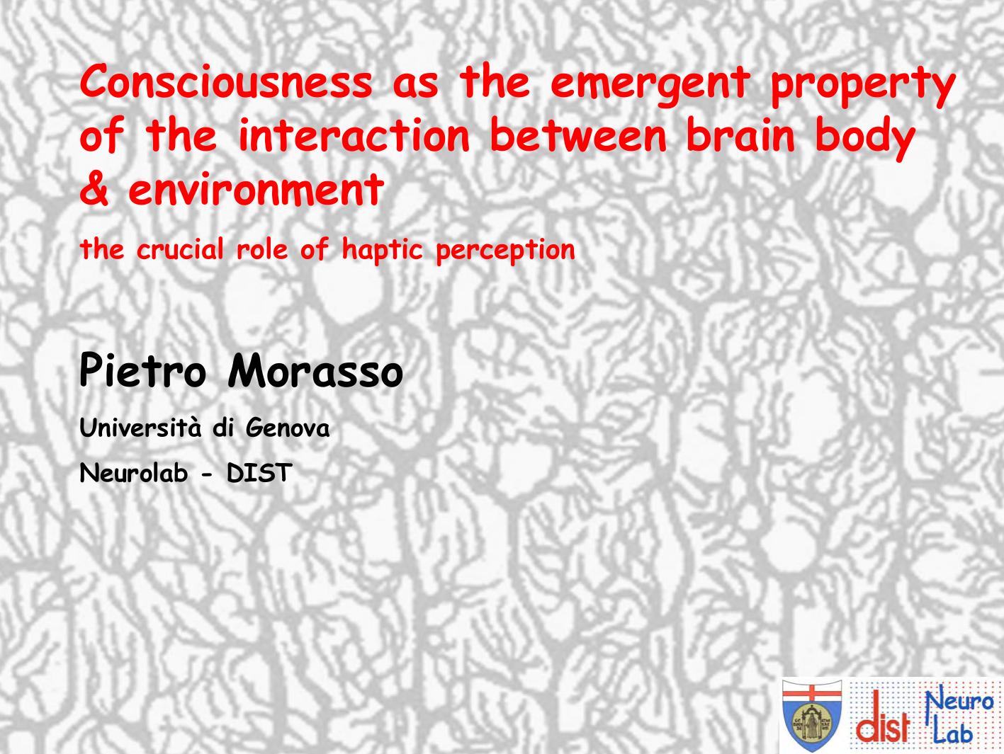 Consciousness as the emergent property of the interaction between brain body & environment the crucial role of haptic perception