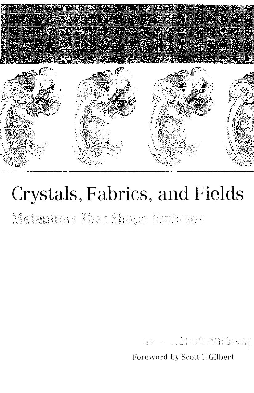 Crystals, Fabrics, and Fields: Metaphors That Shape Embryos
