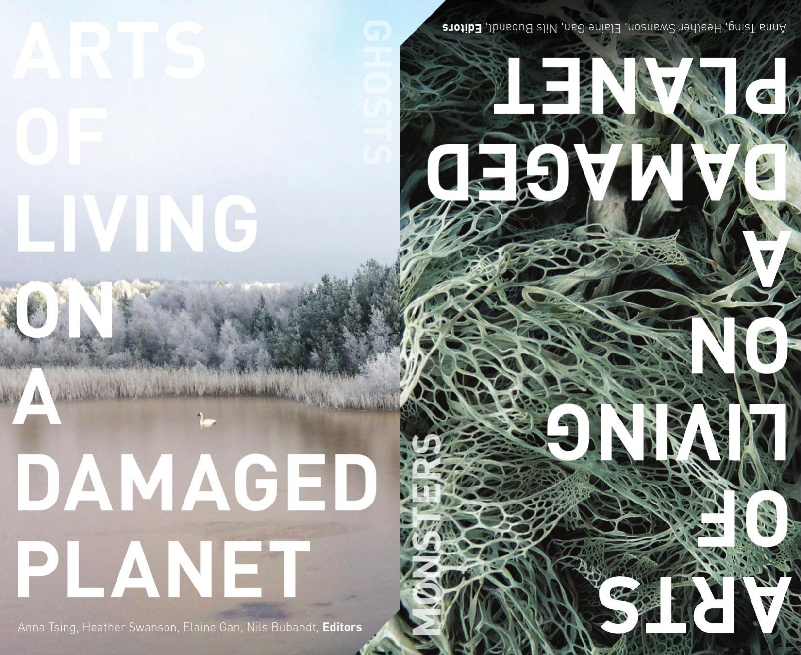 Arts of Living on a Damaged Planet: Ghosts of the Anthropocene